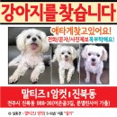 사월1리마을 이미지