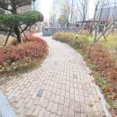 우남퍼스트빌공인중개사사무소 이미지