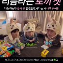 바들바들떠는 토끼를 꼬옥 홀드온타잍 안아주세요 이미지