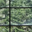 성남도서관 이미지