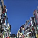 장지6통 (벽산블루밍아파트2단지) (옥내1) | [발로 뛰는 부동산] 분당 재건축은 언제쯤 되려나? 오금역에서 판교역까지 분당 임장 후기