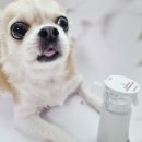 메디빌리프 이미지