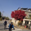 프로방스 이미지