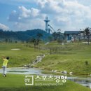 알펜시아 700 골프클럽 이미지