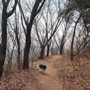 호천식당 이미지