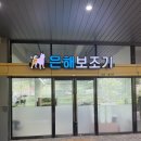 고려보조기 | [은해펫] 강아지 맞춤 보조기 은해펫 후기, 14살 스피츠 뽀솜이의 슬개골 탈구 관리