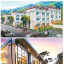 미운오리 이미지