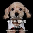 펫마트성서점 네이버블로그