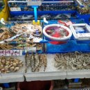 축동우체국 | 수원농수산물도매시장 대표 수산물 전문점, 대명수산! 수원킹크랩부터 선물세트까지 믿고 맡기세요