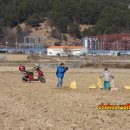 철성중학교 | 조류전문가 께서 극찬을 하시던 니콘 카메라 P1000 몽골독수리 촬영중,