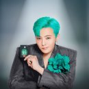 지디디자인