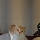 해피주 수원점 이미지