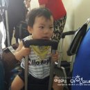 림스파마 이미지