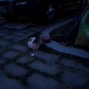 칠천연륙교 | 거제도 옥계해수욕장 오토캠핑 2박3일(2)