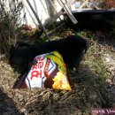 바다향기민박 이미지