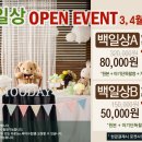 백일에너지 이미지