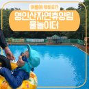 풀이파리 | 영인산자연휴양림 물놀이 수영장 예약 후 다녀온 후기
