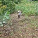 박종상농장 이미지