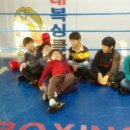 한국체대 복싱클럽 이미지