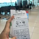 토평목장 | 제주도 2박3일 여행코스 총정리｜맛집 카페 숙소까지 내돈내산 제주 여행