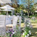 디바인밸리 이미지