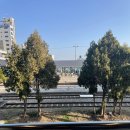 솔스테이 풀빌라&료칸 이미지