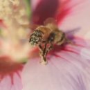 화분인간 이미지