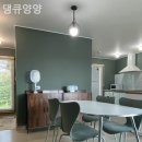 댕큐양양