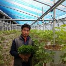 초이스농장 이미지