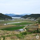 배 타지 않고 떠나는 완벽한 섬 여행, 완도 고금도 - 추천!가볼만한곳 이미지