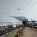 민이맘농장 이미지