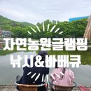 정안 낚시터 | 세종인근 낚시체험 가능한 자연농원글램핑 어른도 아이도 즐거운 곳