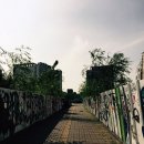 레드 컴퍼니