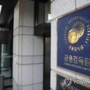 금융감독원 이미지