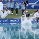 (주)포피스