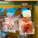 트리트멍멍 | [대구] 더현대 대구 크리스마스 트리 및 팝업스토어 정보. 주토피아2 팝업스토어.