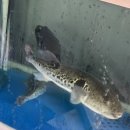 궁원복집 이미지