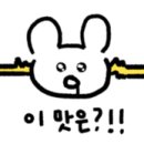 베이커리리종 네이버블로그
