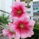 삼정그린코아경로당 이미지