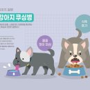 토비동물병원 이미지