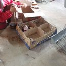 동남부화장 이미지