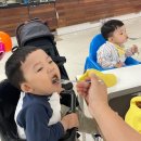 다빛 어린이집 | 5월 일상 / 30개월 14개월 아들둘 육아일기