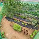 홍이네농장 이미지