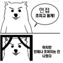 애드피아광고 이미지