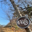 부용길1 이미지