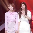 사쿠라 스타데일리뉴스 