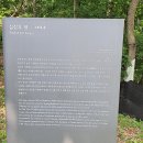 심상우 묘 티스토리