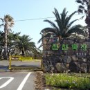 신천리상사