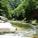 통일상회 이미지