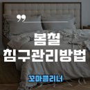 꼬마클리너 이미지